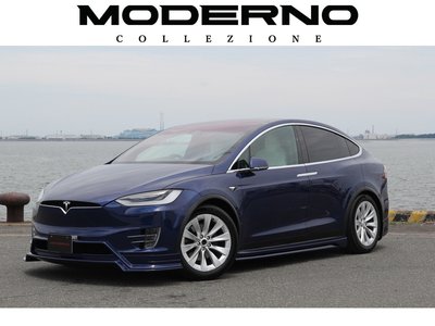 2020 Tesla MODEL X 照片 2
