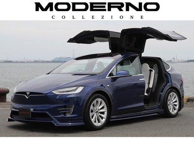 2020 Tesla MODEL X 照片 1