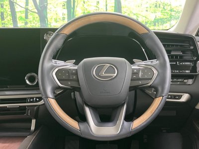 2023 Lexus RX thumbnail 11