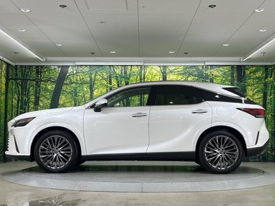 2023 Lexus RX thumbnail 25
