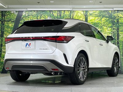 2023 Lexus RX thumbnail 27