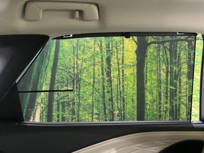 2023 Lexus RX thumbnail 55
