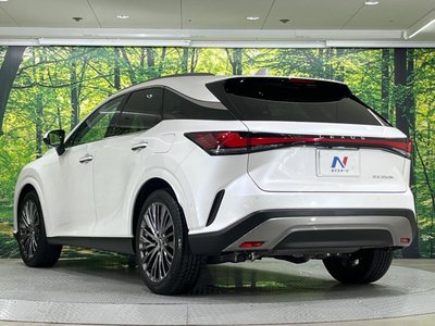2023 Lexus RX thumbnail 17