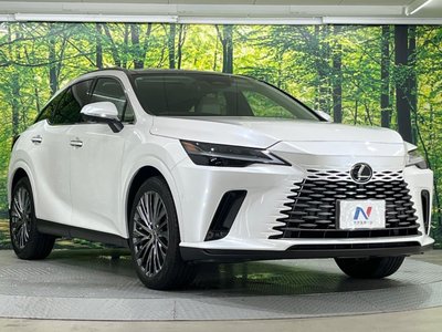 2023 Lexus RX thumbnail 16
