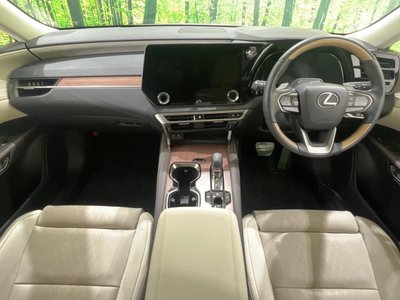 2023 Lexus RX — фото 2