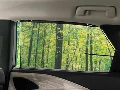 2023 Lexus RX thumbnail 56