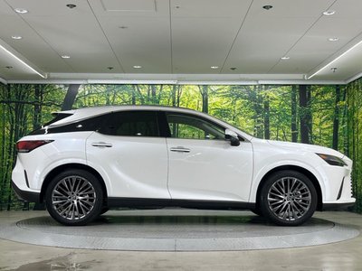 2023 Lexus RX thumbnail 26