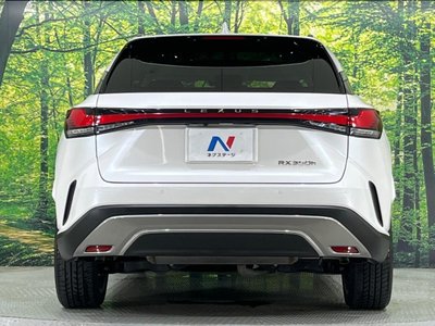 2023 Lexus RX thumbnail 15