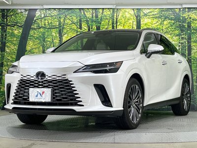 2023 Lexus RX thumbnail 24
