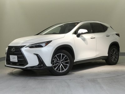 LEXUS NX - 1