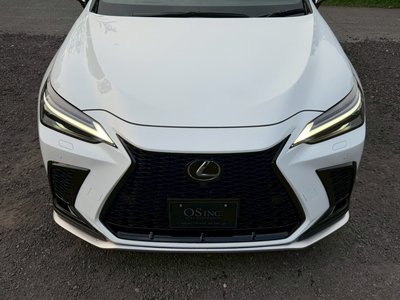 2024 Lexus NX 缩略图 22