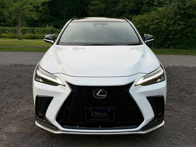 2024 Lexus NX 缩略图 23