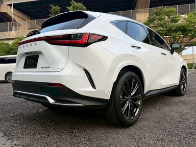 2024 Lexus NX 缩略图 28