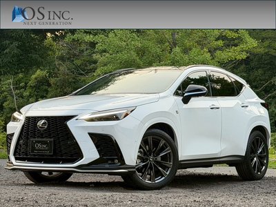 LEXUS NX - 1