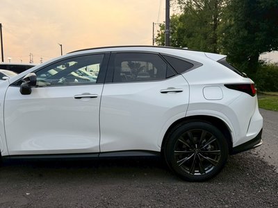 2024 Lexus NX 缩略图 12