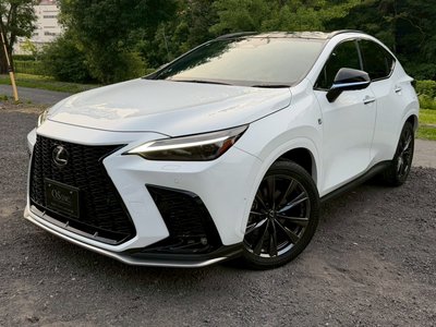 LEXUS NX - 6