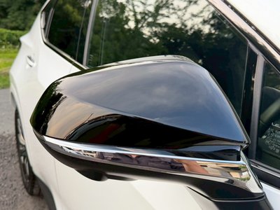 2024 Lexus NX 缩略图 19