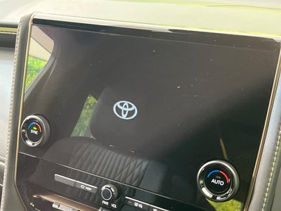 2025 Toyota ALPHARD photo 3