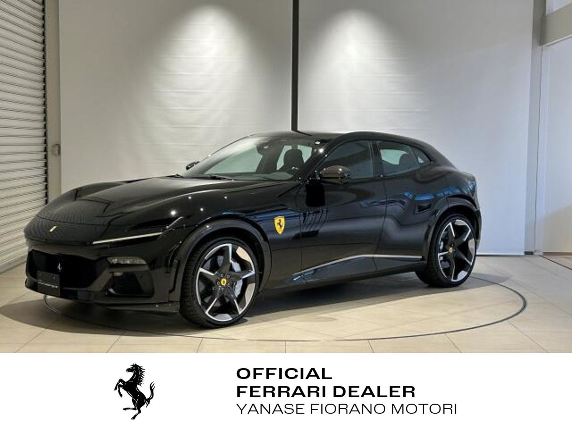 FERRARI PUROSANGUE - View 1