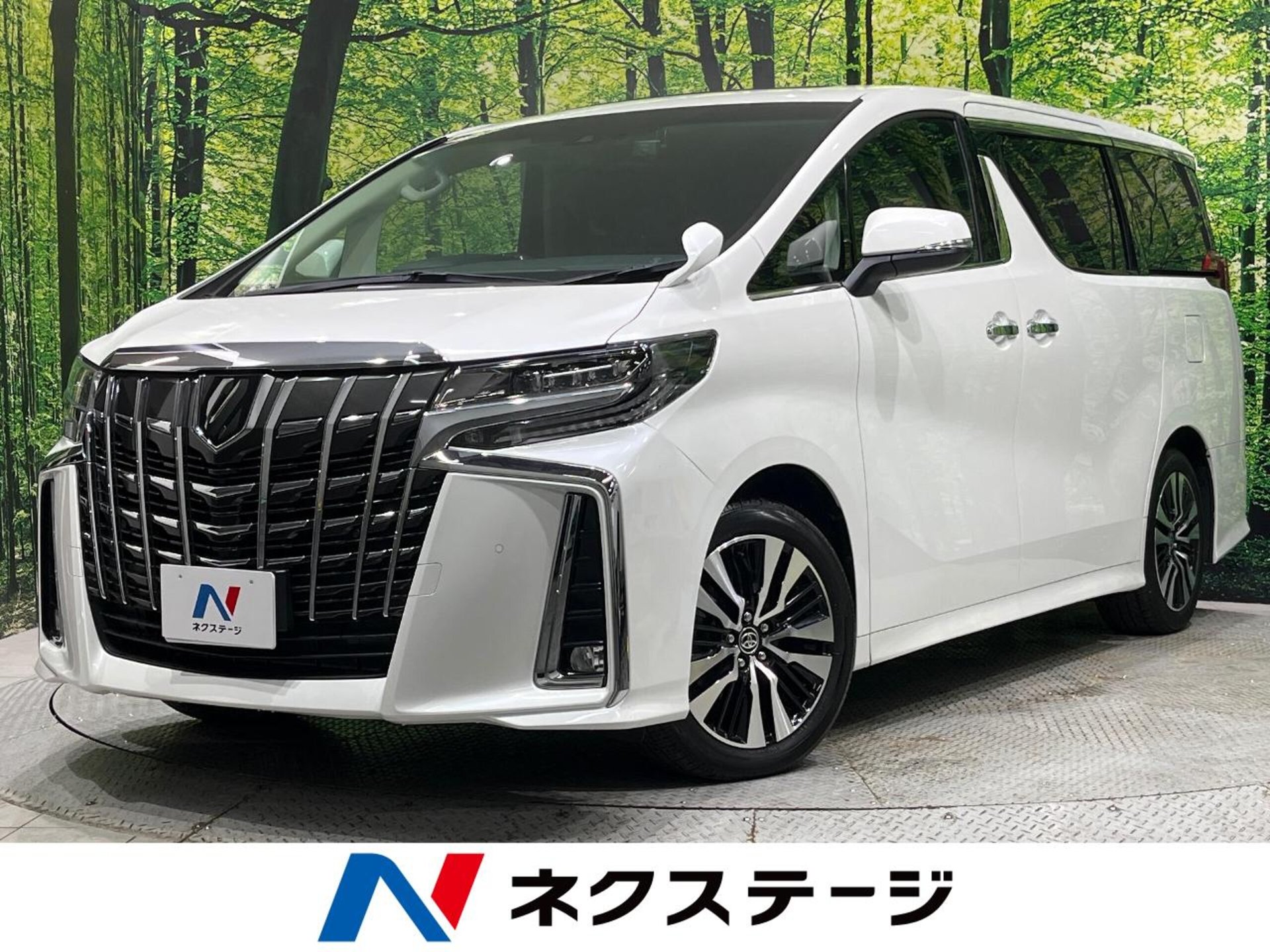 TOYOTA ALPHARD - View 1