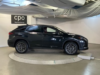 2021 Lexus RX 照片 9