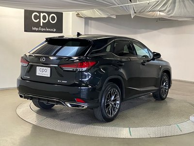 2021 Lexus RX 照片 8