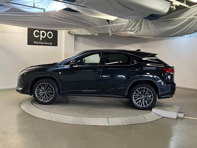 2021 Lexus RX 照片 6