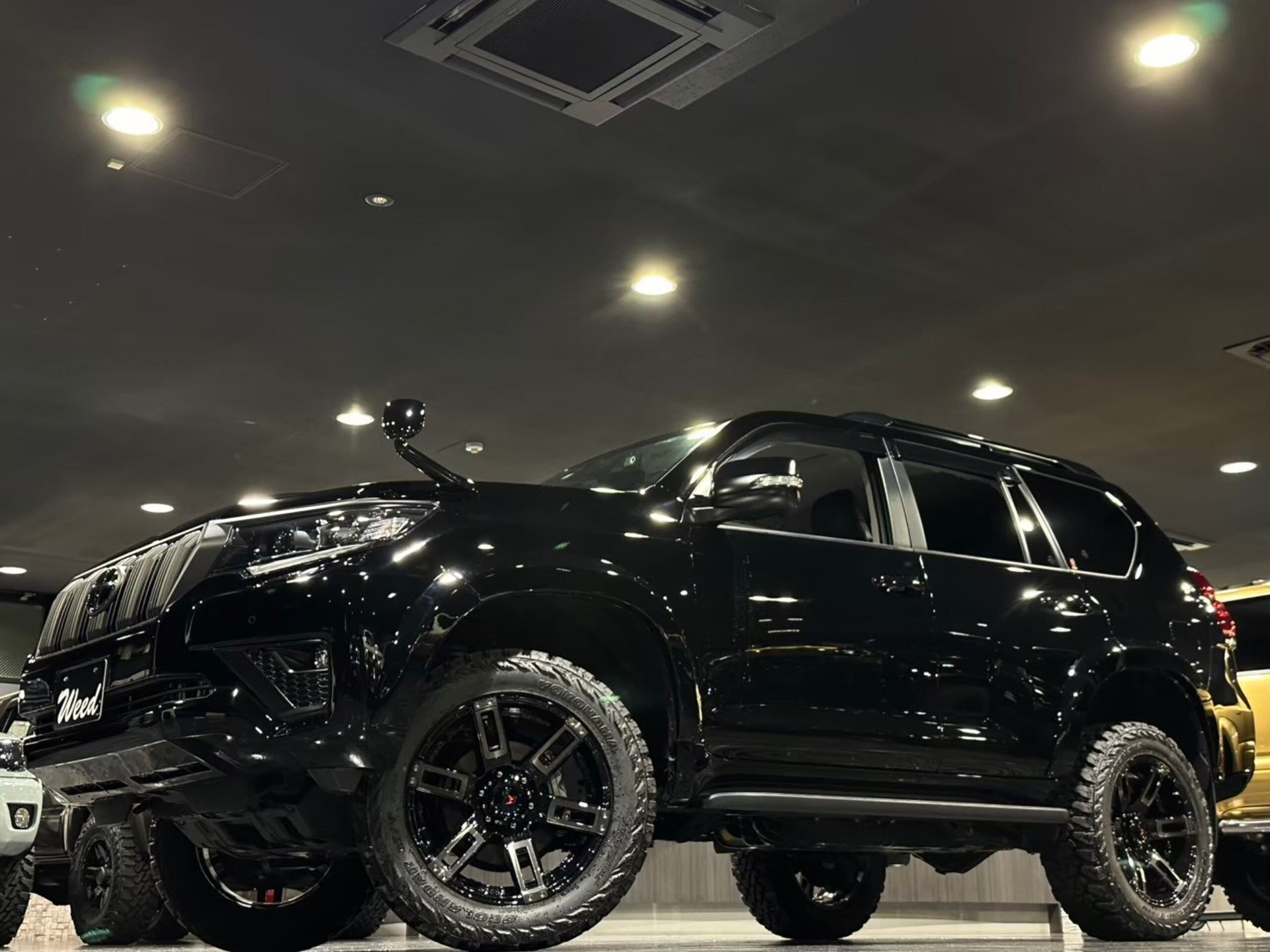 TOYOTA LAND CRUISER PRADO - View 1