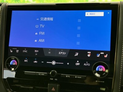 2025 TOYOTA ALPHARD 照片 10