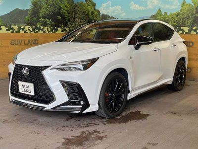 2023 Lexus NX — миниатюра 59