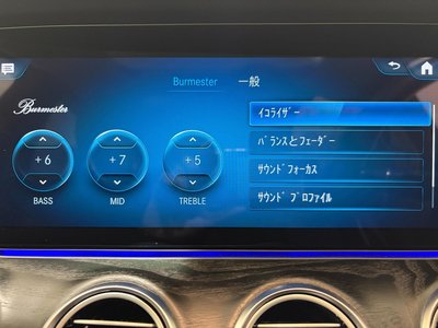 MERCEDES-BENZ E-CLASS ALL-TERRAIN - 7