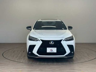 2023 Lexus NX 缩略图 14