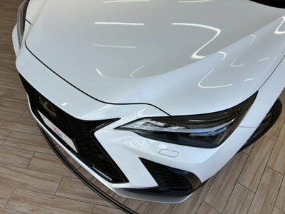2023 Lexus NX 缩略图 21