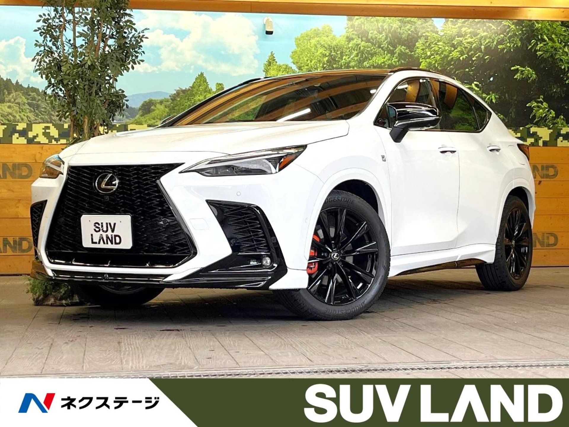 LEXUS NX - View 1