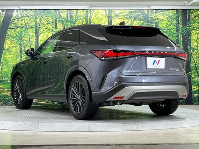 LEXUS RX - 7