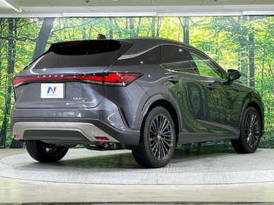 LEXUS RX - 9