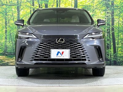 LEXUS RX - 3