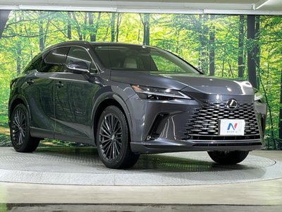 LEXUS RX - 4