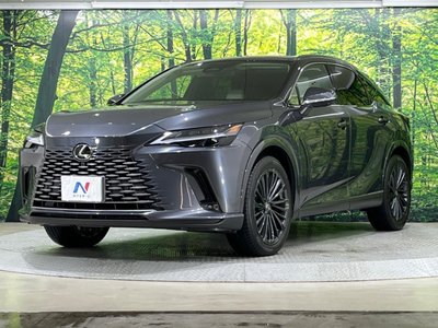 LEXUS RX - 2
