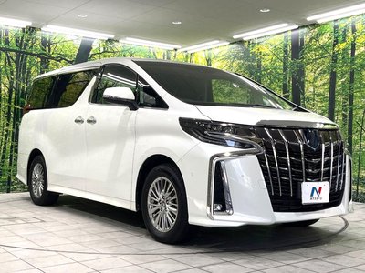 2022 Toyota ALPHARD 缩略图 19