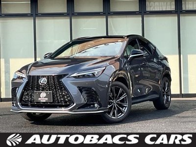 LEXUS NX - 1
