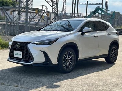2025 Lexus NX thumbnail 25