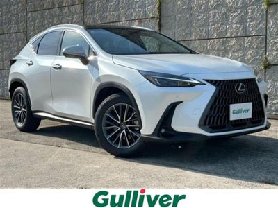2025 Lexus NX 照片 1