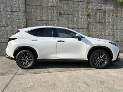 2025 Lexus NX thumbnail 29