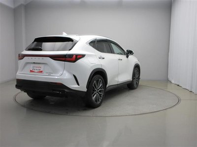 LEXUS NX - 6