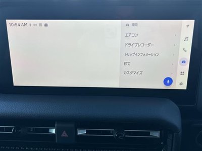 TOYOTA LAND CRUISER 250 - 3