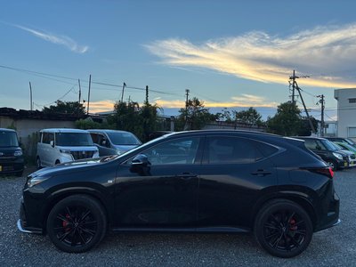 2023 Lexus NX — миниатюра 10