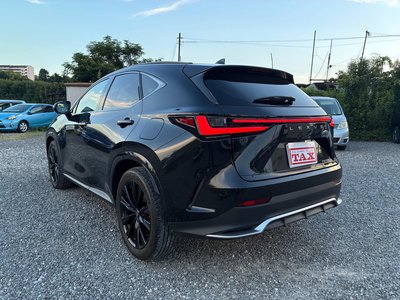 2023 Lexus NX — миниатюра 12