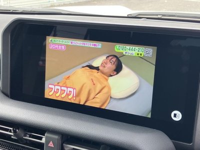 2024 Toyota LAND CRUISER 250 缩略图 13