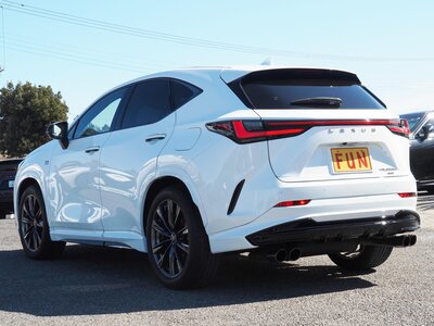 LEXUS NX - 6